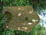 image of grave number 899833